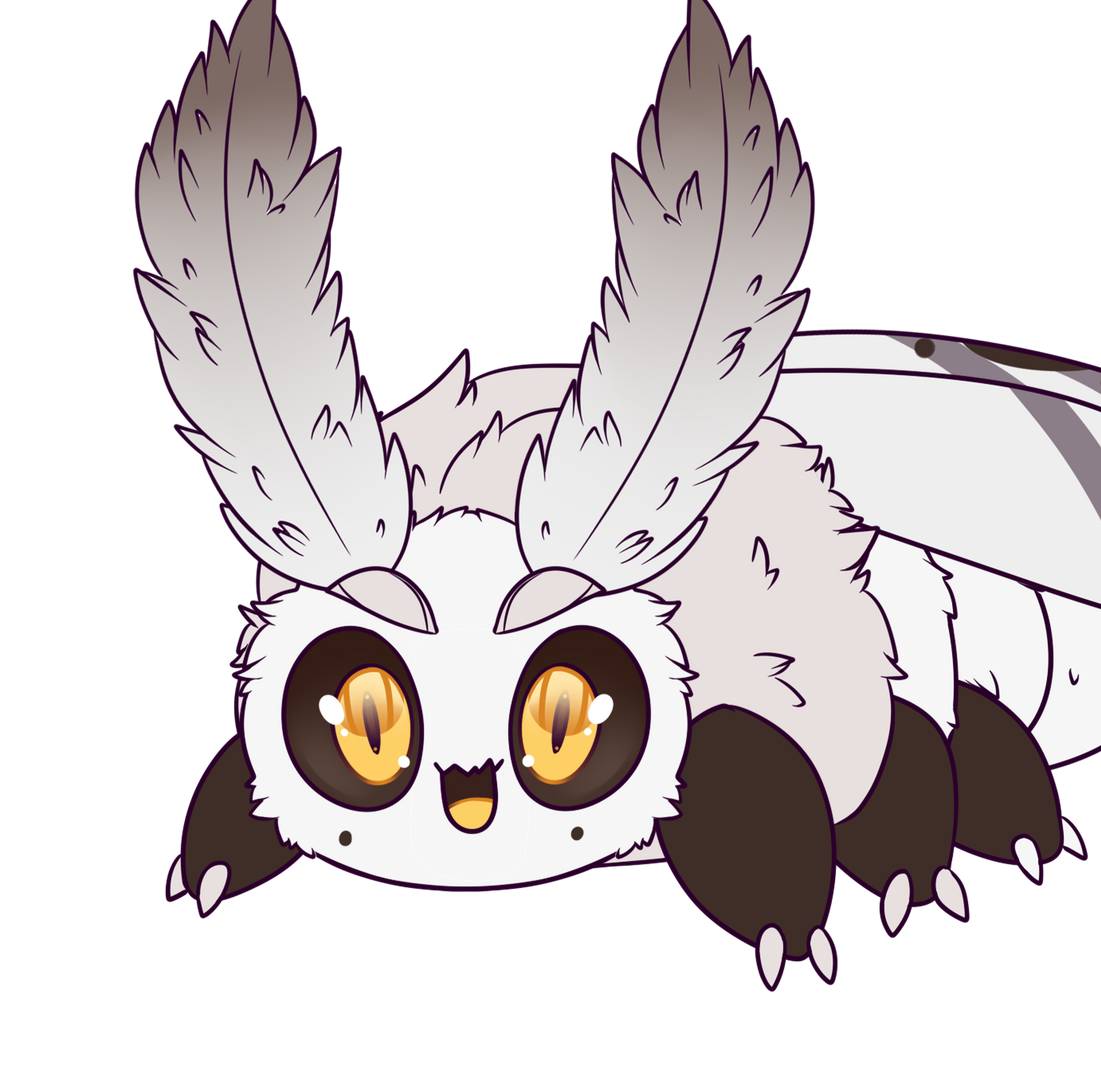 Moth Grub